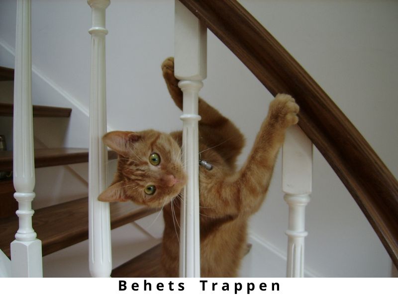 Behets Trappen