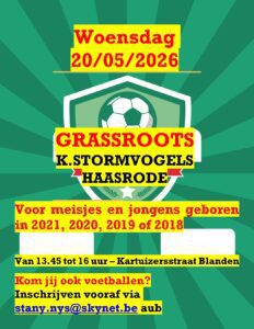 Grassroots Stormvogels Haasrode
